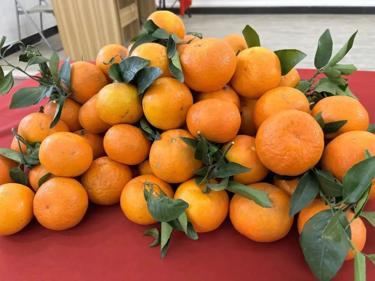 門窗十大品牌